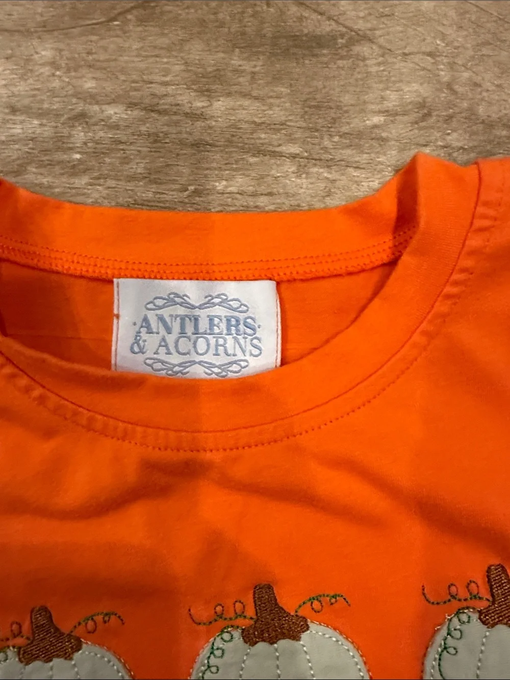 Antlers & Acorns Orange Pumpkin Tee & Mint Stripe Shorts Set Sz 4